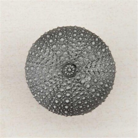 Acorn Mfg Acorn Manufacturing DP7PP Artisan Collection Sea Urchin Knob; Antique Pewter DP7PP